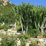 In Zona Panoramica, Immersa Nel Della Macchia Mediterranea Apartment