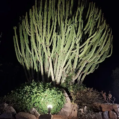 In Zona Panoramica, Immersa Nel Della Macchia Mediterranea Appartement