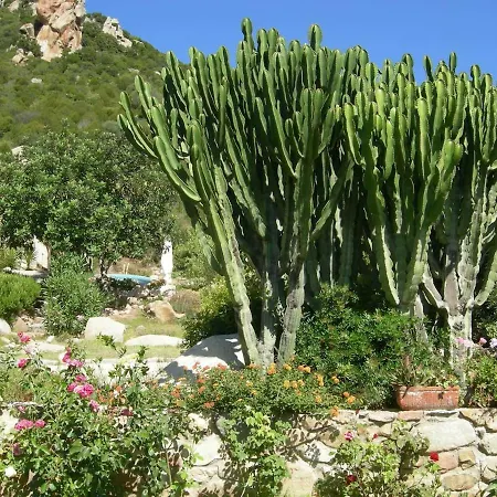 In Zona Panoramica, Immersa Nel Della Macchia Mediterranea アパート