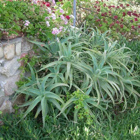 In Zona Panoramica, Immersa Nel Della Macchia Mediterranea