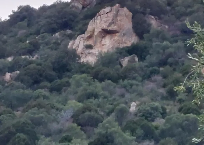 In Zona Panoramica, Immersa Nel Della Macchia Mediterranea *