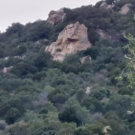 In Zona Panoramica, Immersa Nel Della Macchia Mediterranea *