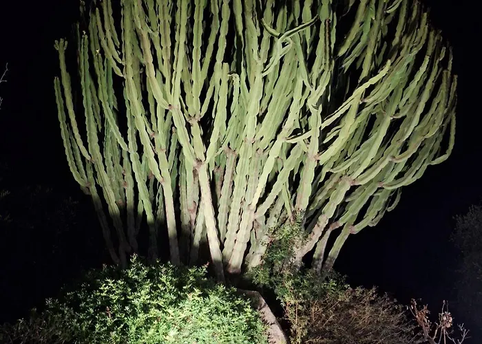 In Zona Panoramica, Immersa Nel Della Macchia Mediterranea Apartmán