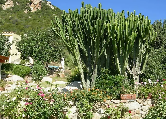 In Zona Panoramica, Immersa Nel Della Macchia Mediterranea アパート